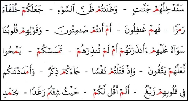 Meem Sakinah rules