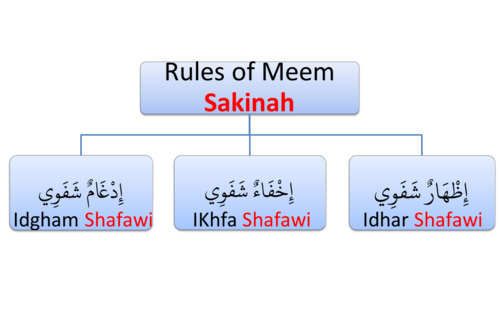 meem sakinah rules ikhfa shafawi idgham shafawi izhar shafawi